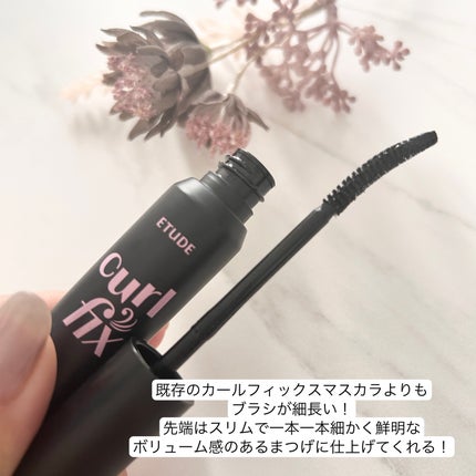 カールフィックスマスカラ/ETUDE/マスカラを使ったクチコミ(3枚目)