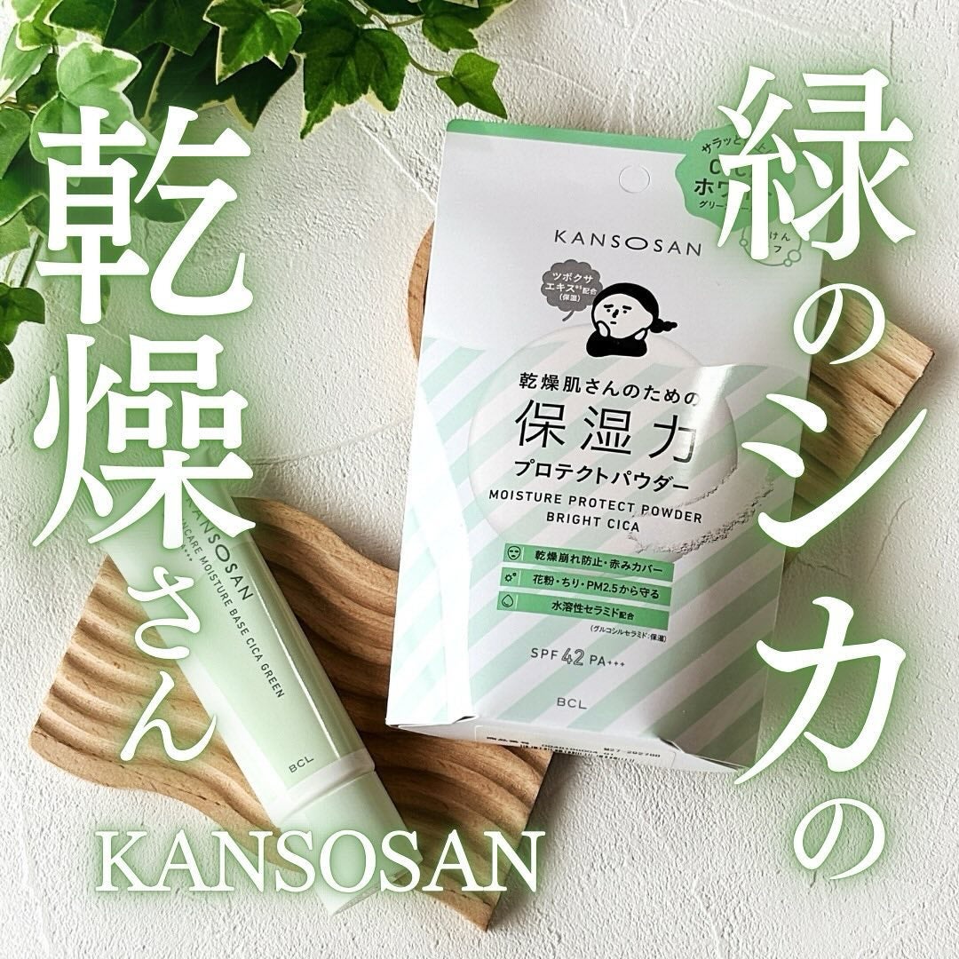 保湿力プロテクトパウダー ブライトシカ/乾燥さん/プレストパウダーを使ったクチコミ(1枚目)