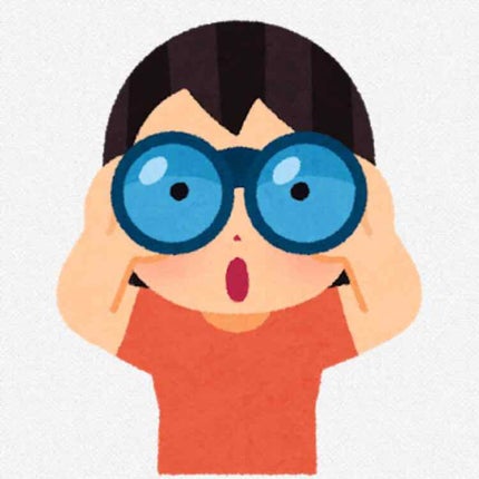 シングルカラーアイシャドウ/CEZANNE/単色アイシャドウを使ったクチコミ(1枚目)