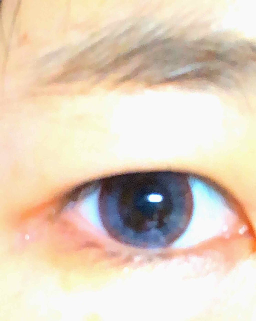 エバーカラーワンデー モイストレーベル/エバーカラー/ワンデー（１DAY）カラコンを使ったクチコミ（2枚目）