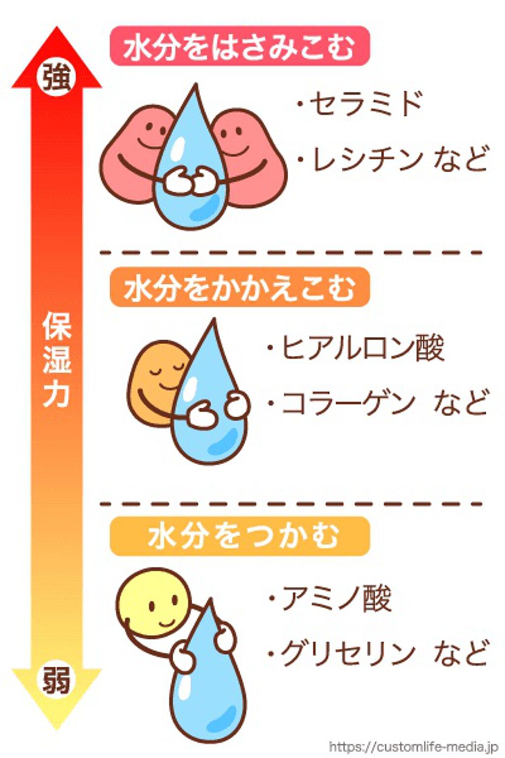 5種のセラミド配合化粧水/Aoyama・Labo/化粧水を使ったクチコミ（2枚目）