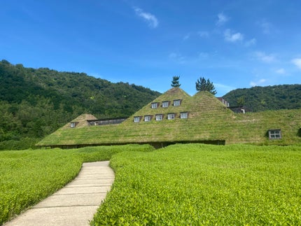 眉ティントSVR/Fujiko/眉ティントを使ったクチコミ(8枚目)