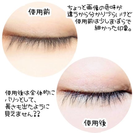 眉毛美容液/Dbe/まつげ美容液を使ったクチコミ(4枚目)