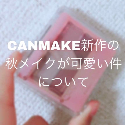 【旧品】パーフェクトスタイリストアイズ/キャンメイク/アイシャドウパレットを使ったクチコミ(1枚目)