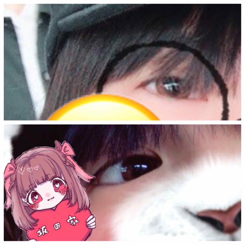 secretcandymagic 1day(シークレットキャンディーマジック)/secret candymagic/ワンデー(1DAY)カラコンを使ったクチコミ(2枚目)