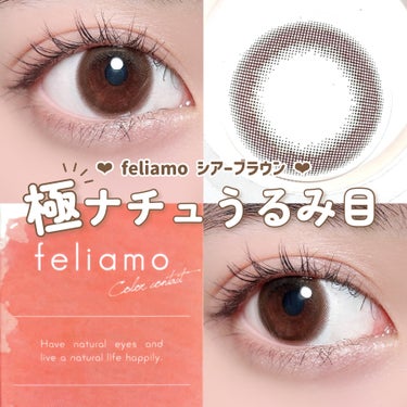 \  極ナチュ‪‪❤︎‬うるみブラウン  /


feliamo
シアーブラウン

#PR #LILYANNA

1day / 10枚入
DIA 14.2mm
G.DIA 13.0m