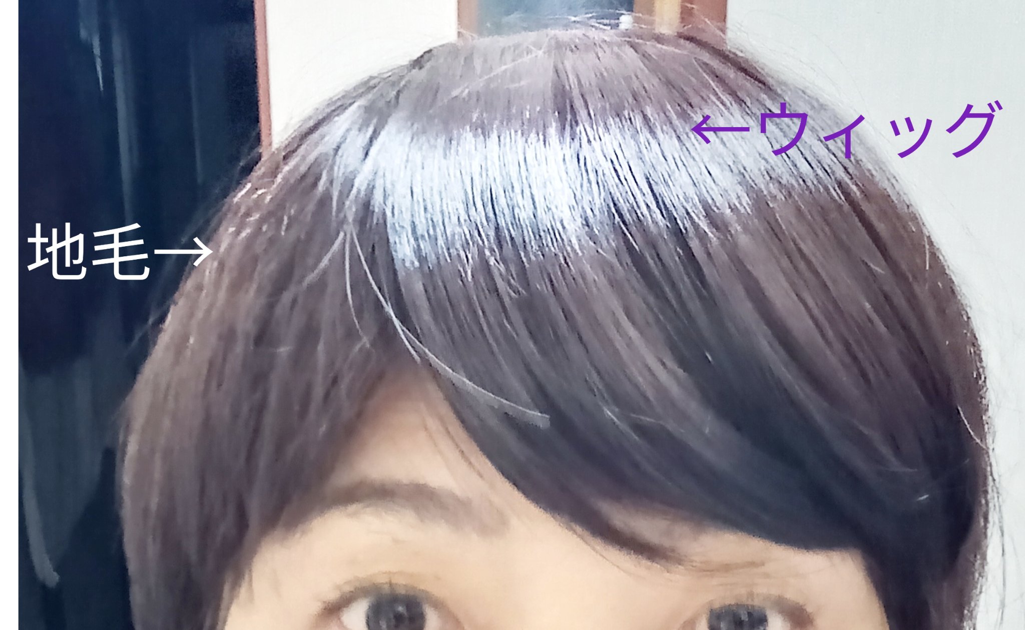 前髪ウィッグ/DAISO/ヘアアクセサリーを使ったクチコミ（1枚目）