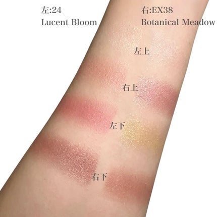 アイカラーレーション/LUNASOL/アイシャドウパレットを使ったクチコミ(2枚目)