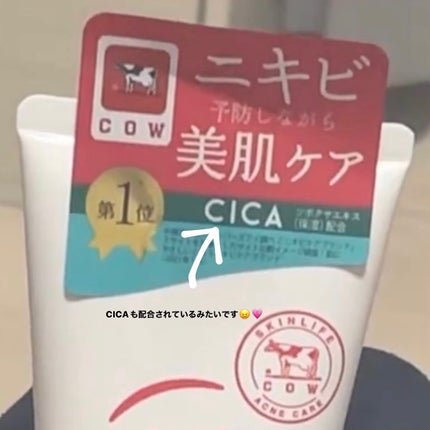 極潤ヒアルロン液(ハダラボモイスト化粧水d)/肌ラボ/化粧水を使ったクチコミ(3枚目)