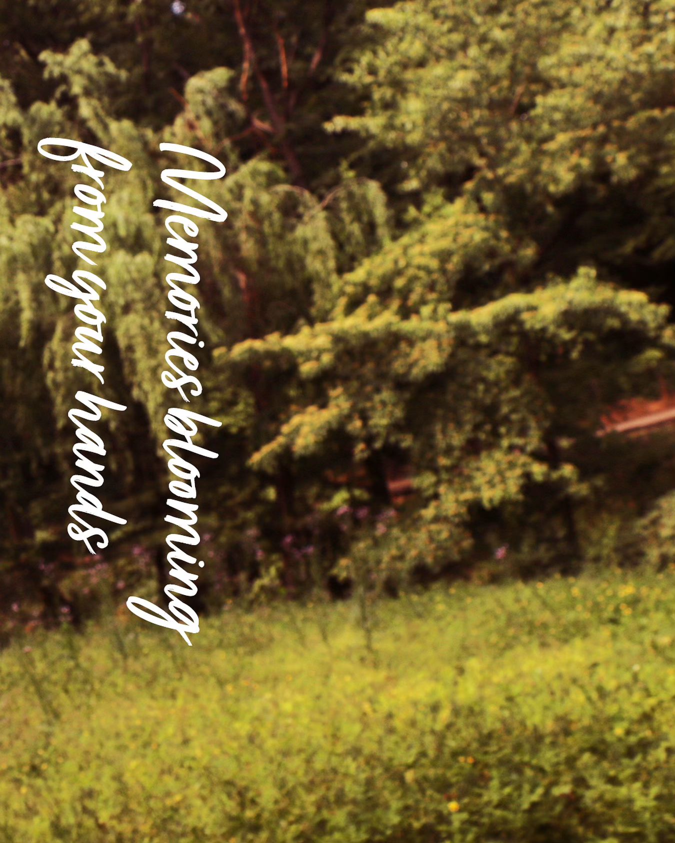 カミール公式アカウント on LIPS 「指先から咲く森の香り、静かに目覚める記憶もうすぐやってくる#ハ..」(1枚目)