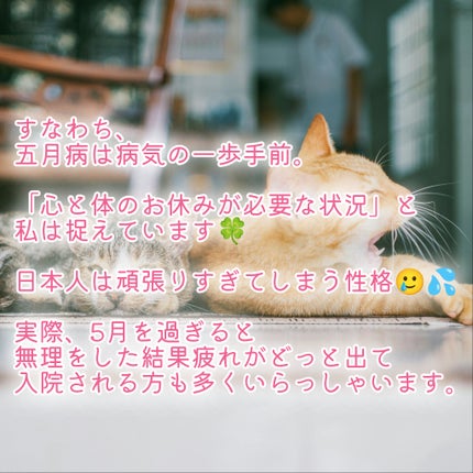 ðãŸã/ãã©ããð on LIPS ãðã¿ããªã§äºæç
ãã§ãã¯ïŒðã¡ãªã¿ã«ãŸãã¯æ¥ã«ã¹ãã¬ã¹ãæãã..ãïŒ4æç®ïŒ