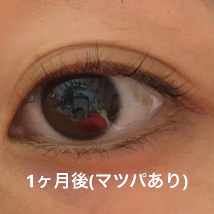ラッシュアディクト アイラッシュコンディショニングセラム/soaddicted/まつげ美容液を使ったクチコミ(4枚目)