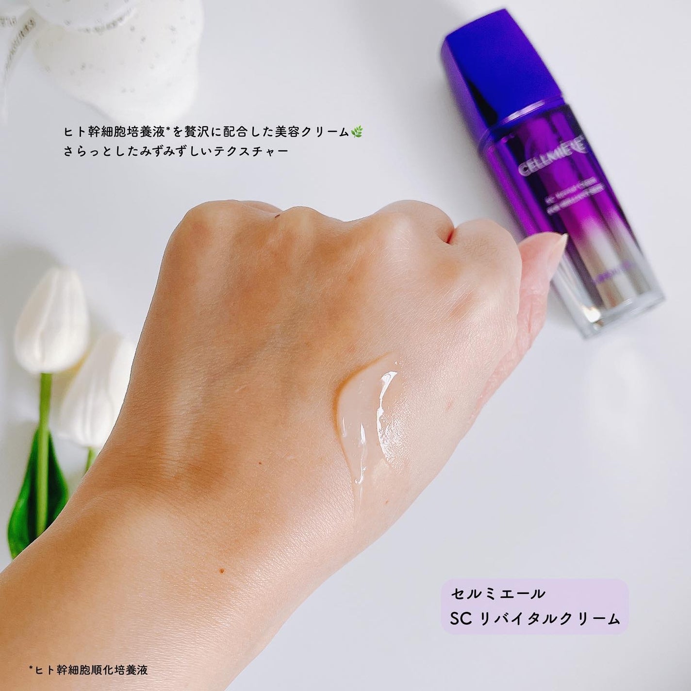 ð£ððððMAQUIAã€ã³ãã«ãšã³ãµãŒ on LIPS ãÂÂÂÂÂÂÂÂÂÂÂÂÂÂÂÂÂÂÂÂÂÂÂÂãèã«ããã..ãïŒ5æç®ïŒ