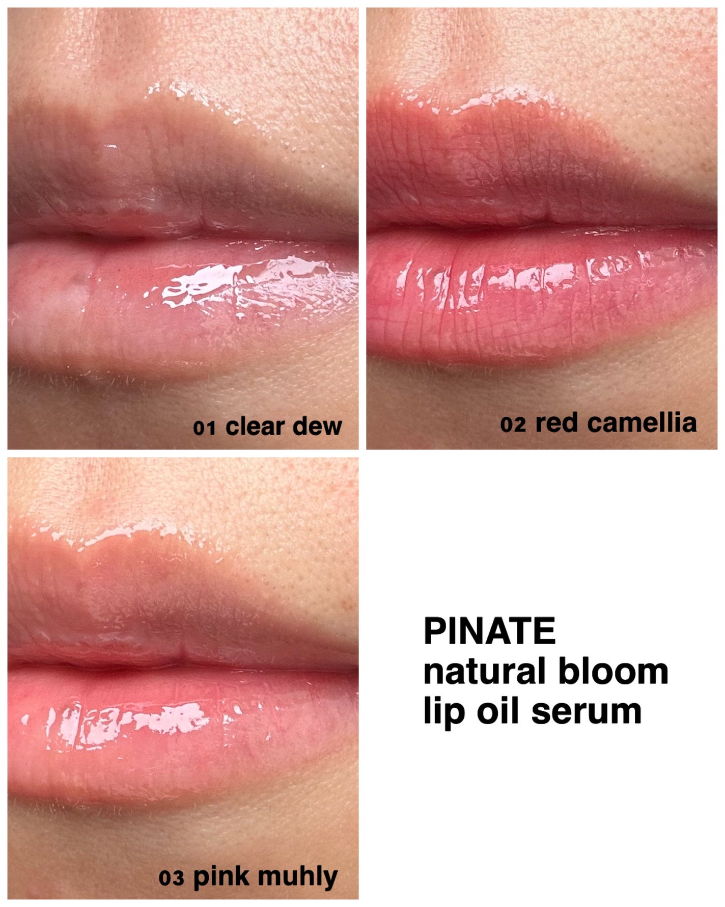ナチュラルブルームリップオイルセラム 3色セット/PINATE/リップグロスを使ったクチコミ(5枚目)