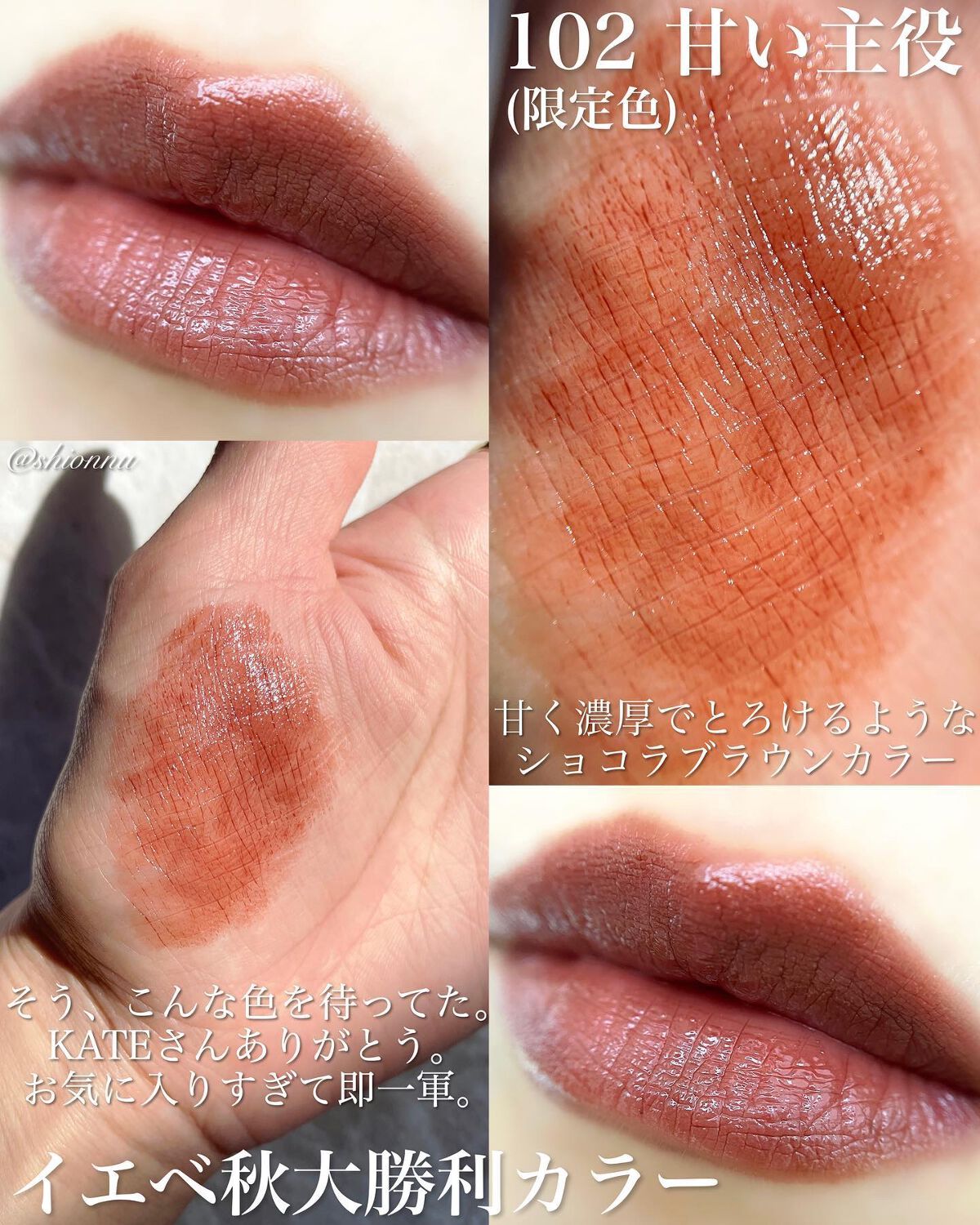 限定まとめセット　イエベ　リップモンスター102 104 105 110 111 限定まとめセット イエベ リップモンスター102 104 105 110 111