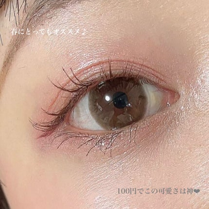 ごんす@YouTube始めました on LIPS 「《DAISO100円コスメキュートメイク》DAISO単色アイシ..」(5枚目)