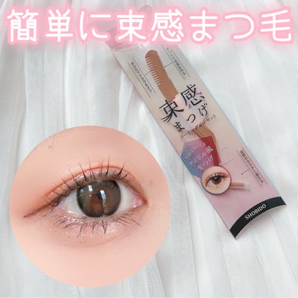 束感まつげコーミングピンセット/SHOBIDO/その他化粧小物を使ったクチコミ(1枚目)
