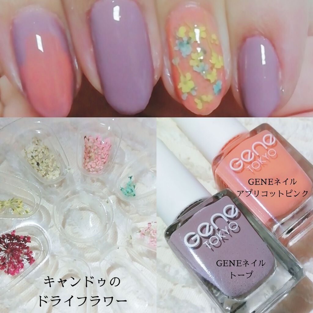 gene TOKYO ネイル/DAISO/マニキュアを使ったクチコミ(4枚目)
