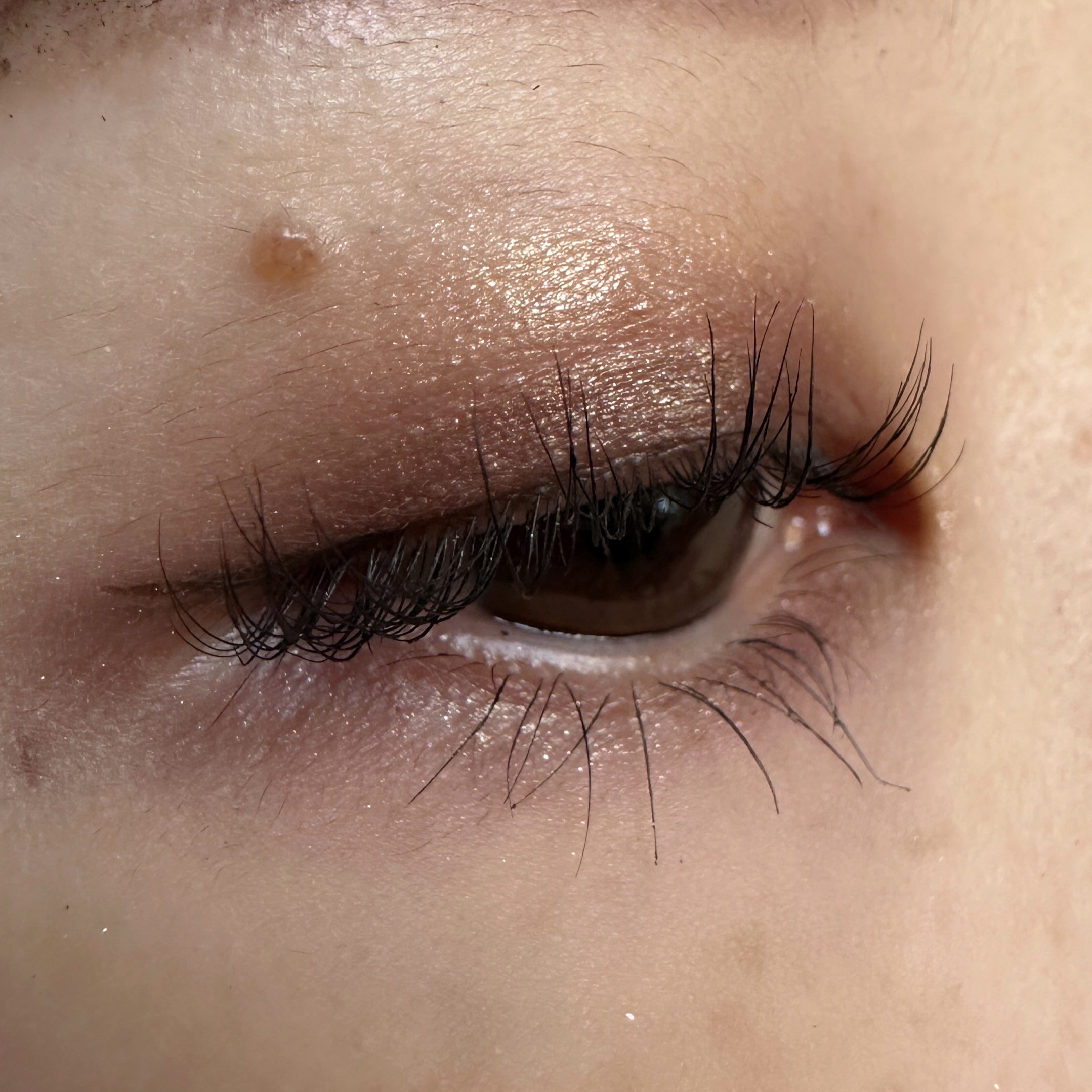 オンブル ドゥ エルメス パレット クワテュール 06 オンブル・モルドレ