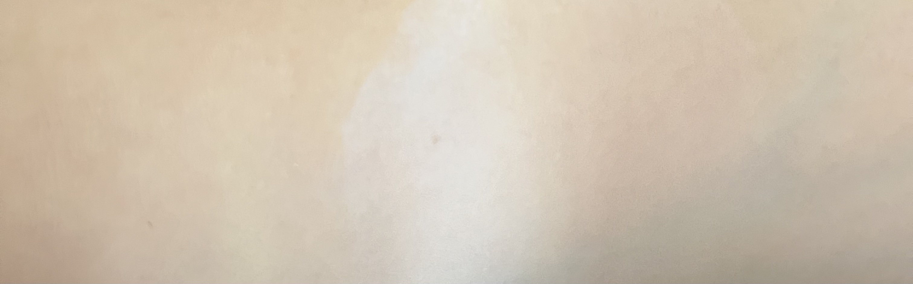 ウォンジョンヨ トーンアップベース/Wonjungyo/化粧下地を使ったクチコミ（2枚目）