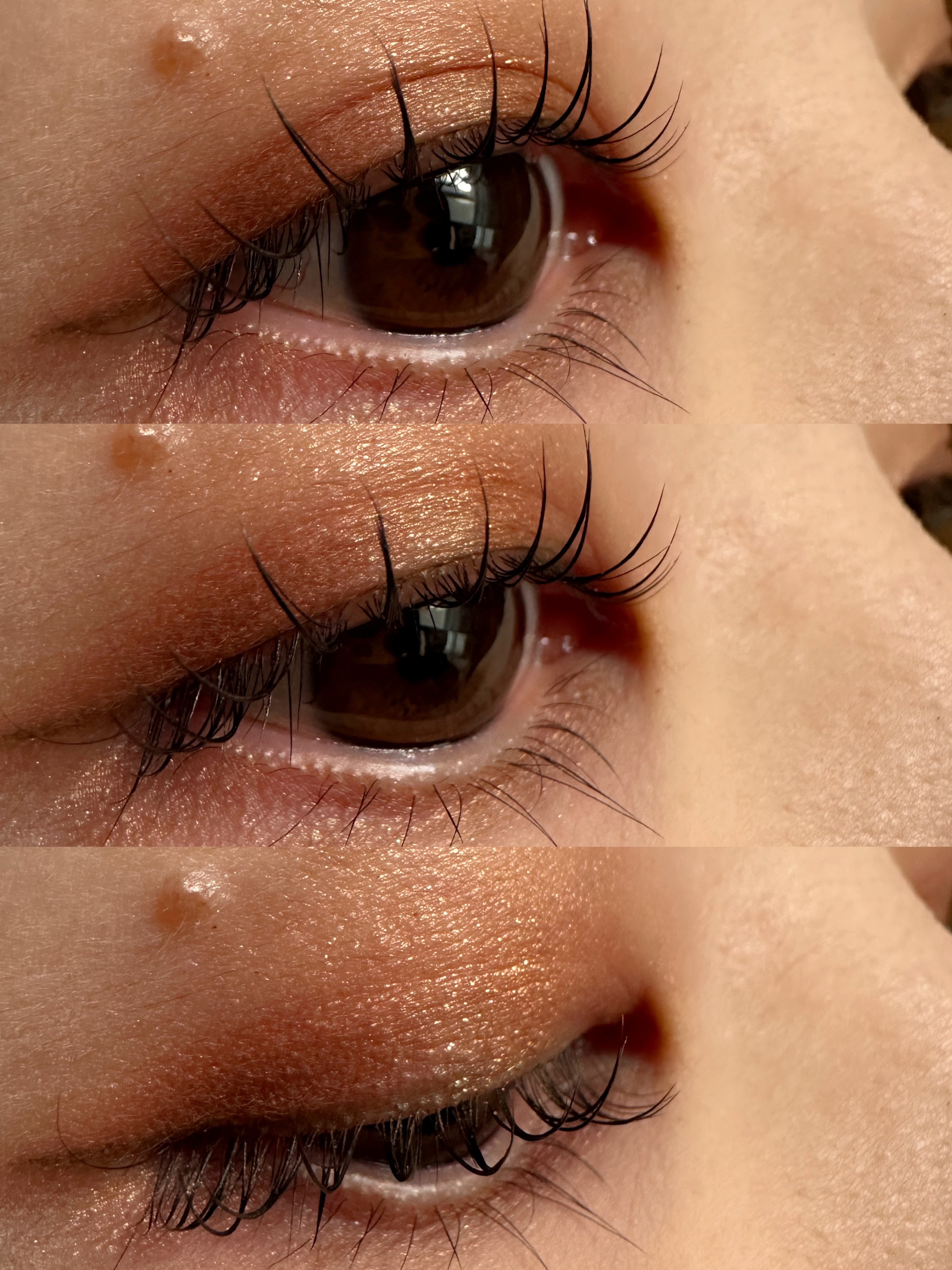 RMK シンクロマティック アイシャドウパレット EX-06 ヴァイブラント（数量限定）/RMK/アイシャドウパレットを使ったクチコミ（3枚目）