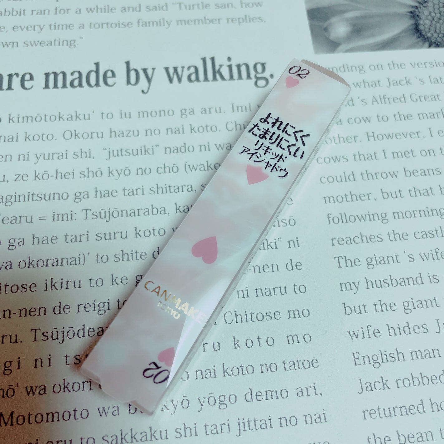 アイカラーマジシャン/キャンメイク/アイシャドウを使ったクチコミ(1枚目)