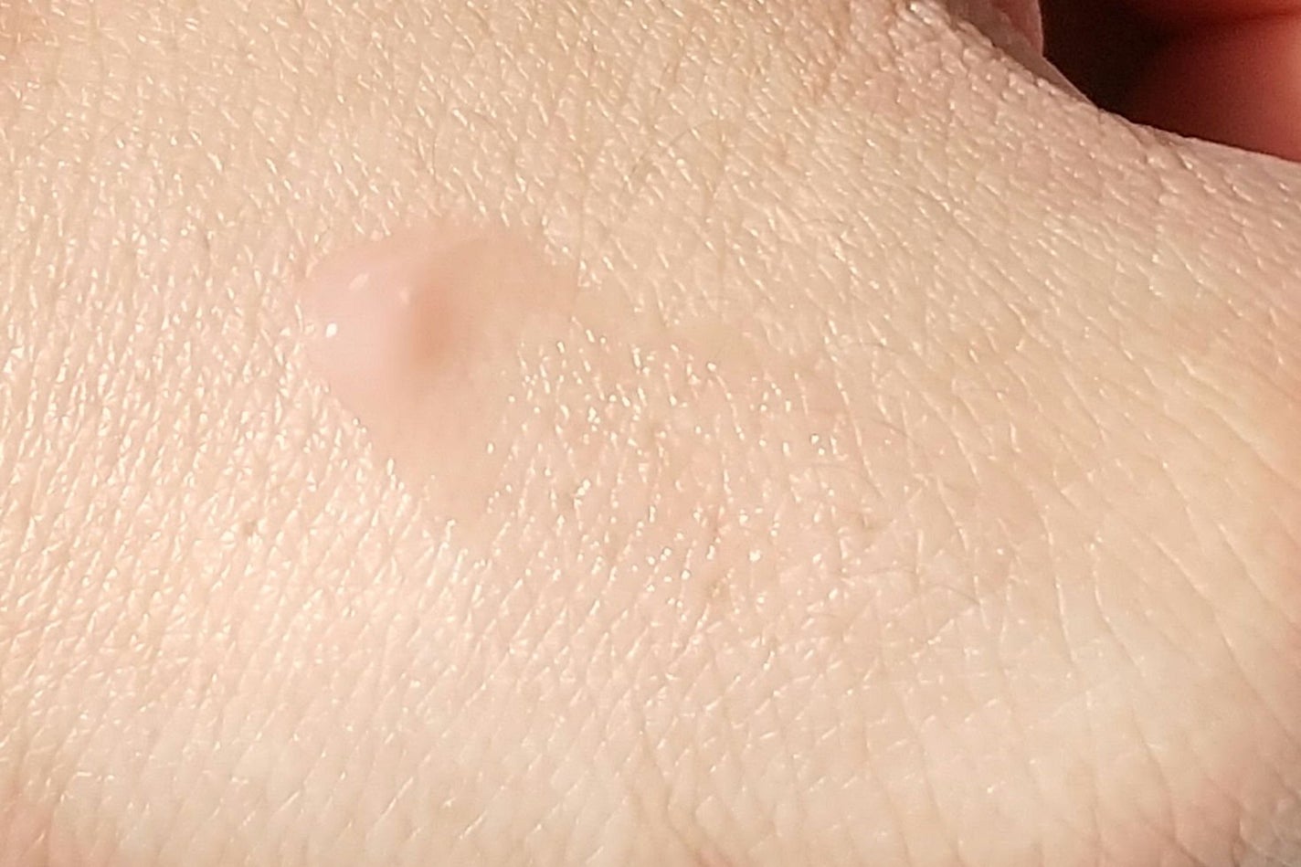 メロウデューリップエッセンス/キャンメイク/リップケアを使ったクチコミ(7枚目)