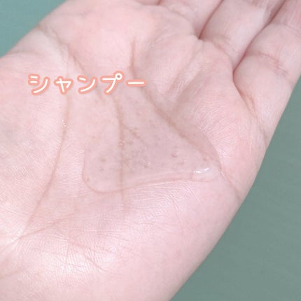 SS ビオリス ボタニカル シャンプー/コンディショナー(スリークストレート)/SSビオリス/シャンプー・コンディショナーを使ったクチコミ(4枚目)