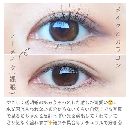 エバーカラーワンデーミリモア じらしてショコラ/エバーカラー/ワンデー(1DAY)カラコンを使ったクチコミ(3枚目)