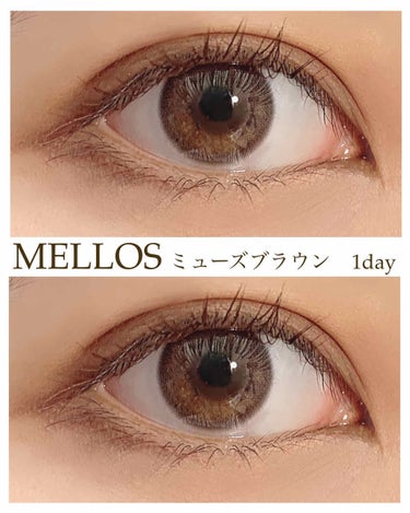 メローズワンデーミューズブラウン(Mellows 1day Muse Brown)/OLOLA/ワンデー（１DAY）カラコンを使ったクチコミ（1枚目）