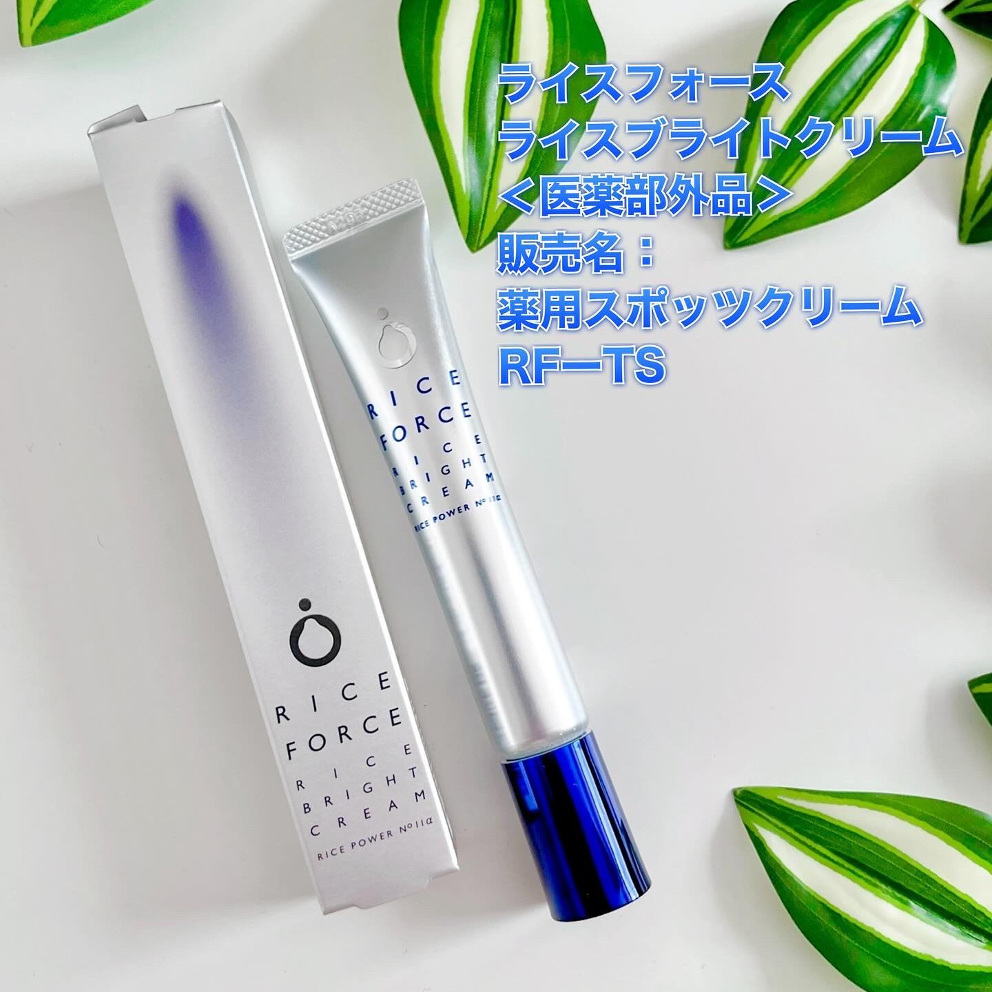 ライスフォース ライスブライトクリームのクチコミ「#PR #ライスフォース
🌾💙4/11発売の新商品！ライスフォースらのスポッツクリーム💙🌾
＿.....」（2枚目）