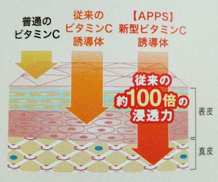 シーバムコントロールVCローション/プリモディーネ/化粧水を使ったクチコミ(2枚目)