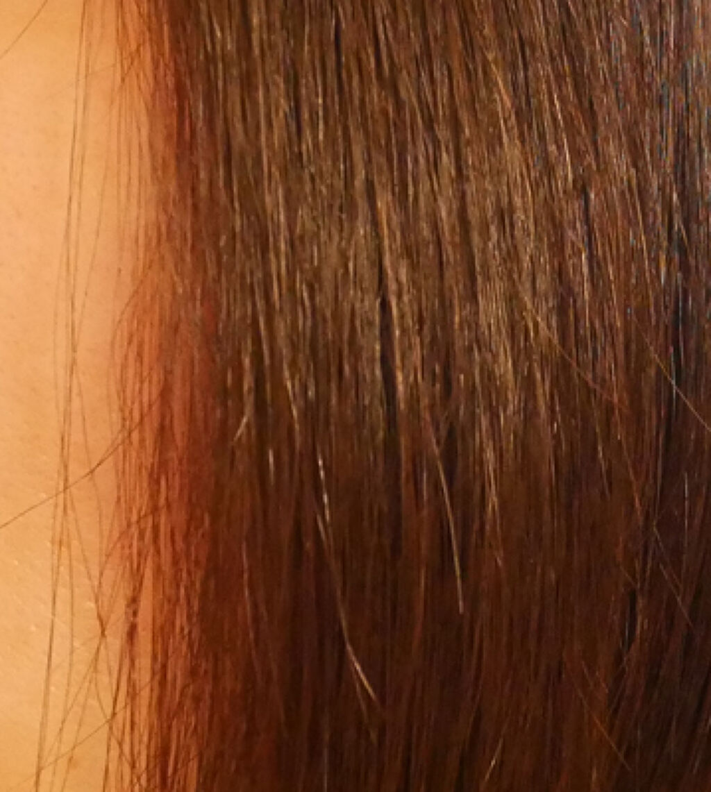 プレミアムモイスト シャンプー／ヘアコンディショナー/TSUBAKI/市販シャンプーを使ったクチコミ（1枚目）