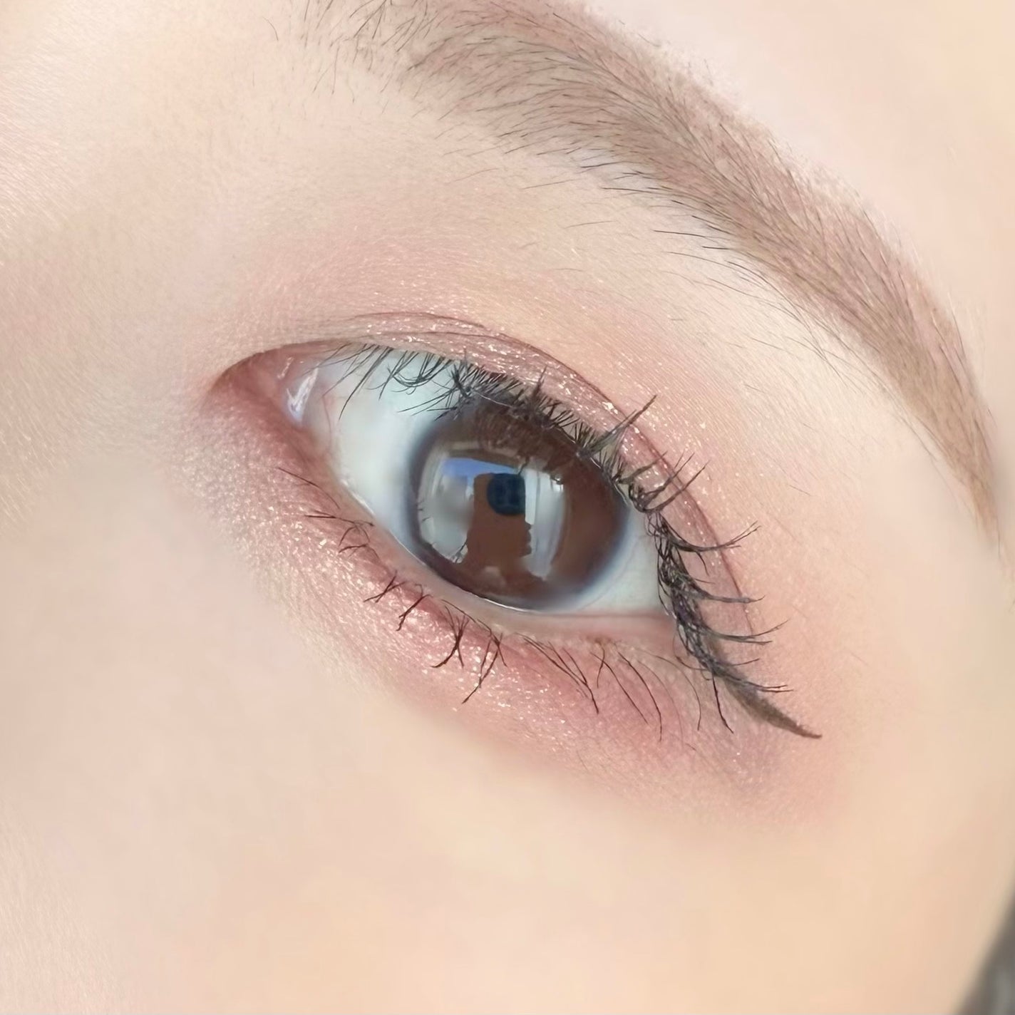 パーフェクトマルチアイズ/キャンメイク/アイシャドウパレットを使ったクチコミ(4枚目)