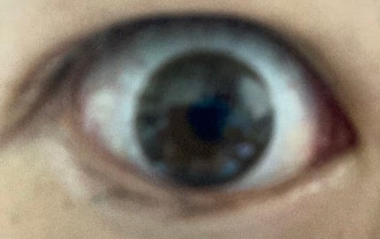 OvE(オヴィ) 1day OvE7/OvE/ワンデー(1DAY)カラコンの画像