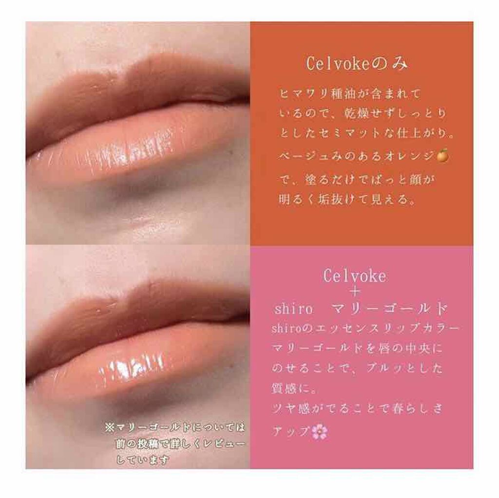 ディグニファイド リップス/Celvoke/口紅を使ったクチコミ(2枚目)