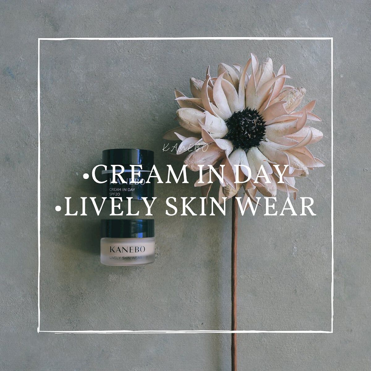 クリーム イン デイ/KANEBO/フェイスクリームを使ったクチコミ(1枚目)