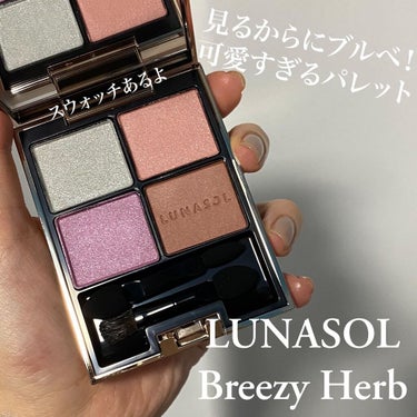 アイカラーレーション 12 Breezy Herb/LUNASOL/パウダーアイシャドウを使ったクチコミ（1枚目）