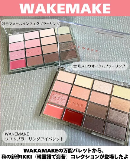 ソフトブラーリングアイパレット/wakemake/アイシャドウパレットを使ったクチコミ(2枚目)