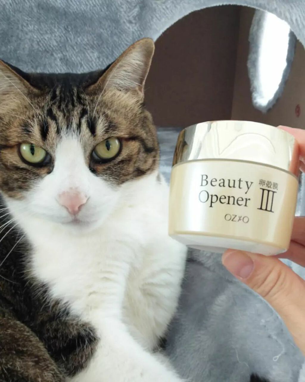 ビューティーオープナージェル/オージオ/オールインワン化粧品を使ったクチコミ(6枚目)