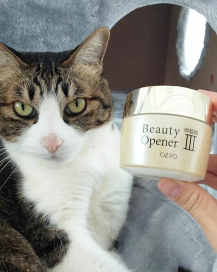 ビューティーオープナージェル/オージオ/オールインワン化粧品を使ったクチコミ(6枚目)