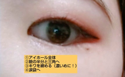 リアルクローズシャドウ/excel/アイシャドウパレットを使ったクチコミ(3枚目)