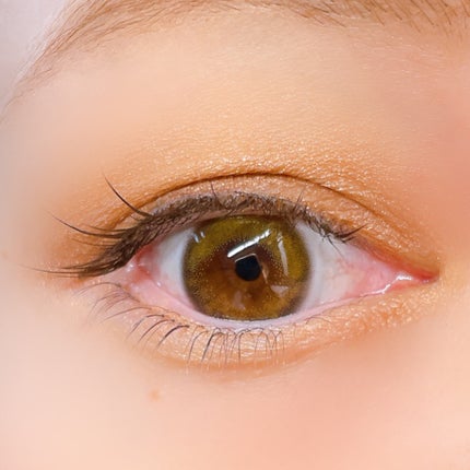 スキニーリッチシャドウ/excel/アイシャドウパレットを使ったクチコミ(5枚目)