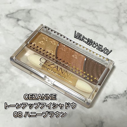 トーンアップアイシャドウ/CEZANNE/アイシャドウパレットを使ったクチコミ(1枚目)