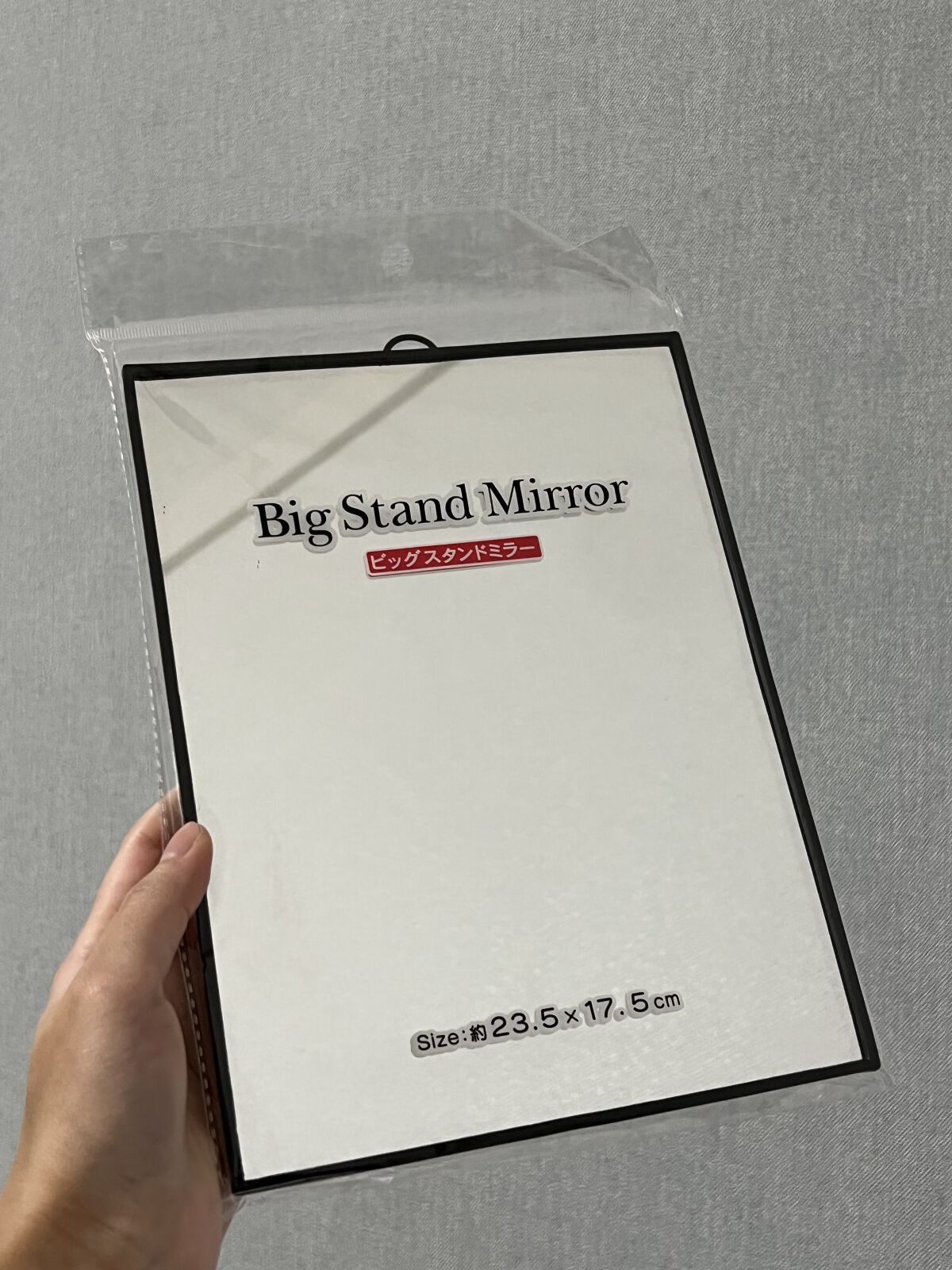 WATTS ビッグスタンドミラー