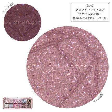 プロ アイ パレット エアー/CLIO/アイシャドウパレットを使ったクチコミ(8枚目)