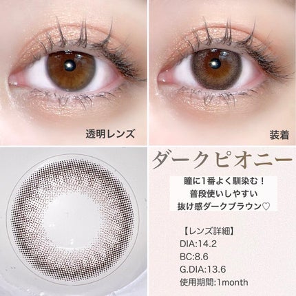 MOLAK 1day/MOLAK/ワンデー(1DAY)カラコンを使ったクチコミ(5枚目)