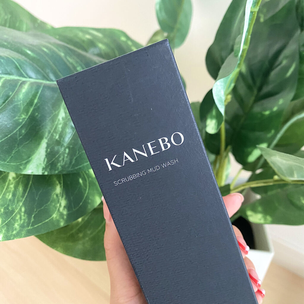 スクラビング　マッド　ウォッシュ/KANEBO/洗顔フォームを使ったクチコミ（3枚目）
