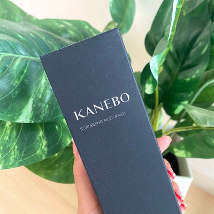スクラビング マッド ウォッシュ/KANEBO/洗顔フォームを使ったクチコミ(3枚目)