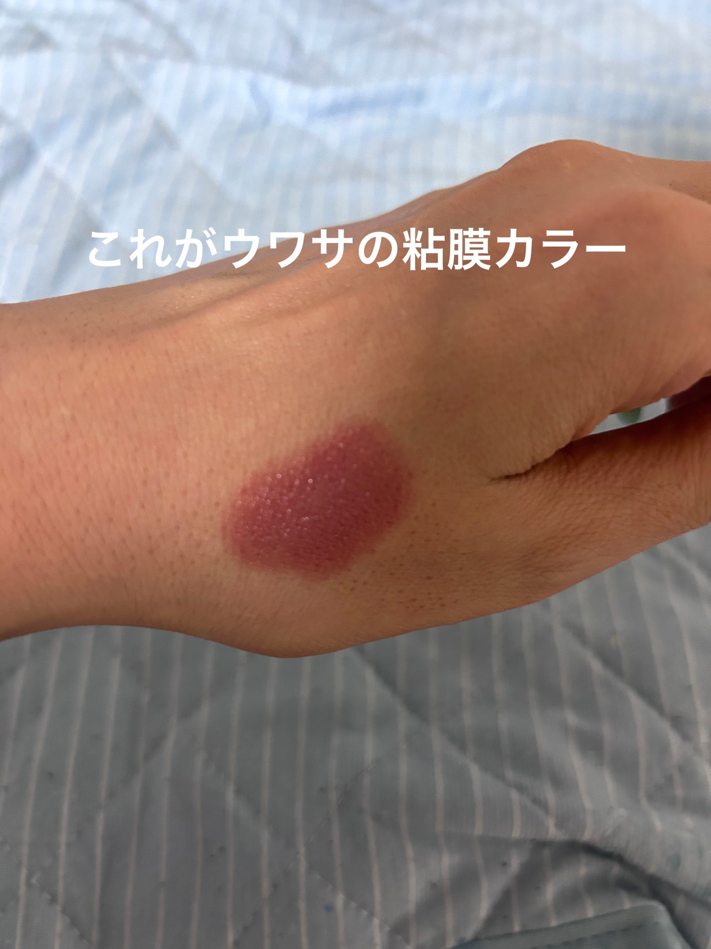 ネンマクフェイク ルージュ/Visée/口紅を使ったクチコミ(3枚目)